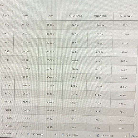 The North Face Ski/Snowboard Pants Women Small - Picture 11 of 13